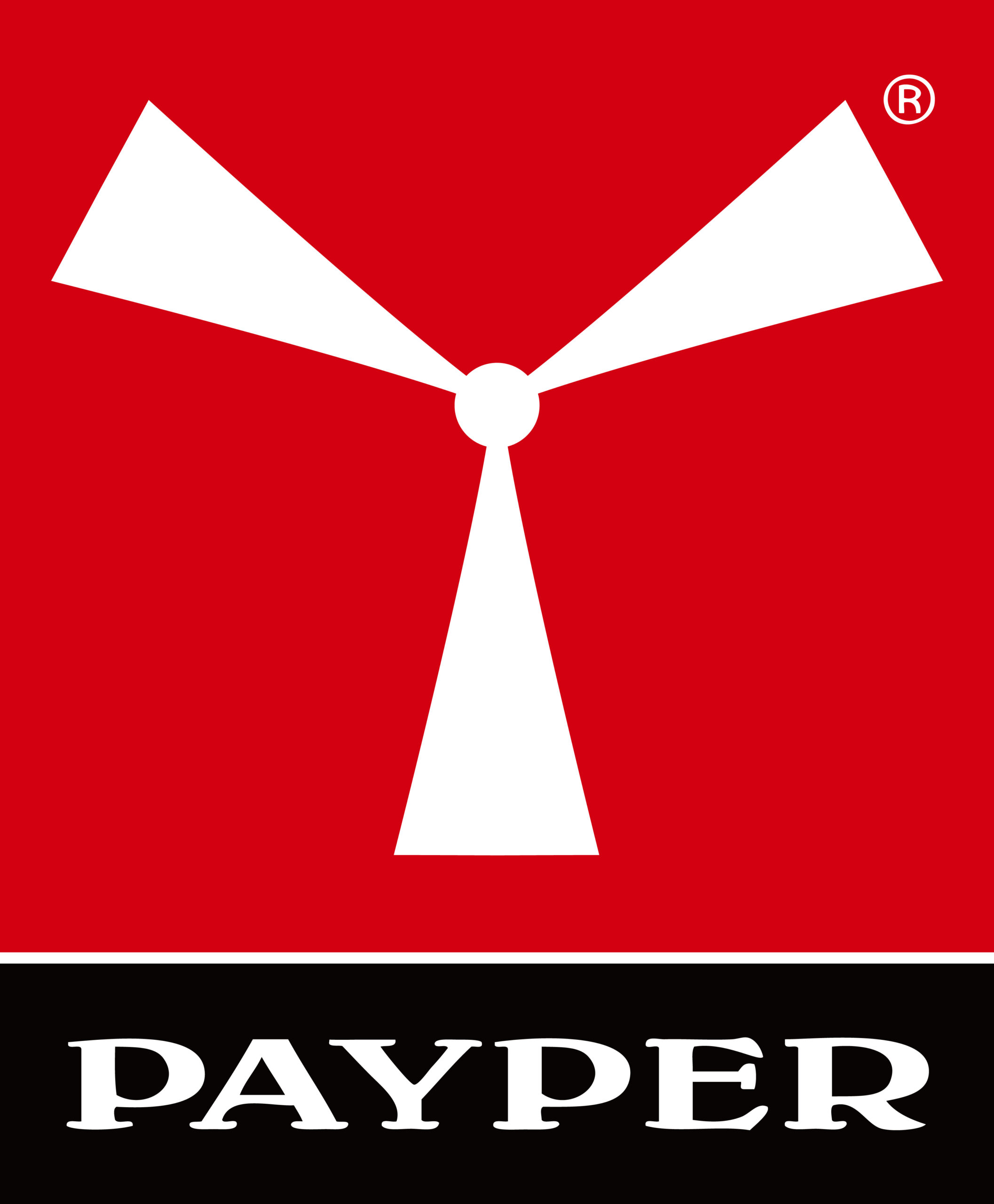 Payper worker stretch - derekas munkásnadrág - Image 10